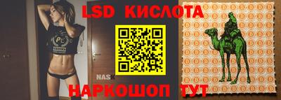 spice Заводоуковск