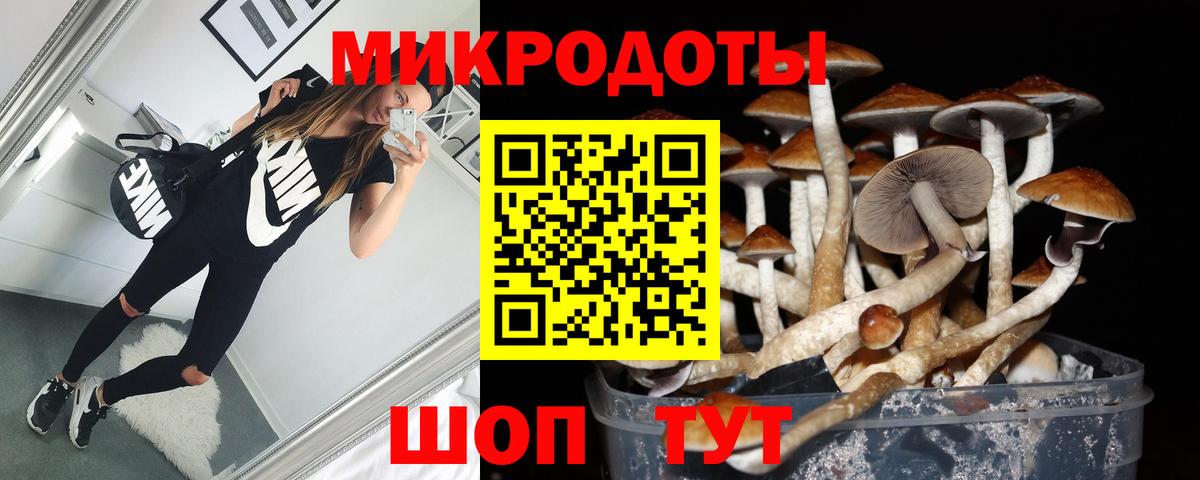 Каспийск  Псилоцибиновые грибы ЛСД  Вход с VPN 